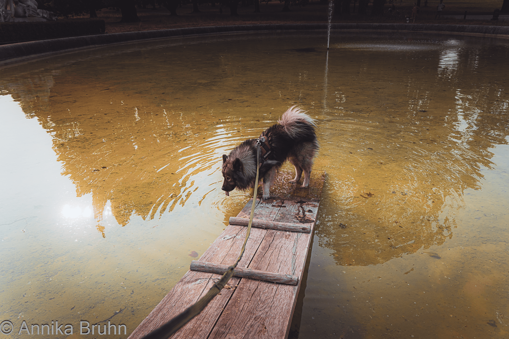 Planschen in Stuttgart im Park
